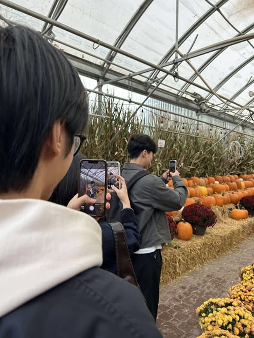 MAFAM culture photo 2